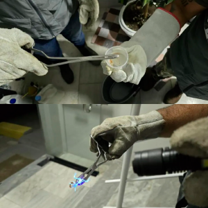 Infestação de escorpiões leva Vigilância a agir em residência na região