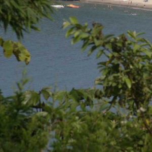 Homem é encontrado morto com ferimentos de faca em área de mata