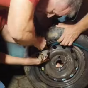 VÍDEO | Lagarto preso em roda é resgatado pelos bombeiros de Brusque