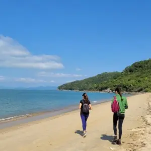 🌿 Trilha ecológica leva turistas a paisagens exclusivas e revela riquezas naturais 