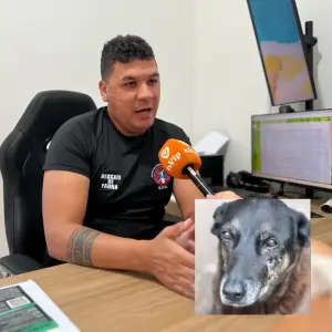 GOR se manifesta sobre maus-tratos a animais após tortura de cão em Florianópolis