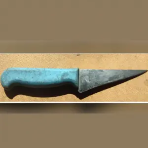 🚨 Mandado de prisão termina em tensão e disparo não letal