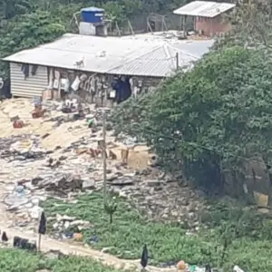 Homem que congelou cachorros no freezer é denunciado por maus-tratos