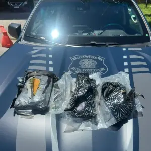 Homem é preso em Biguaçu por transportar droga em seu carro