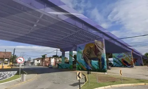 Prefeitura de Tijucas abre edital para artistas pintarem ponte da BR-101