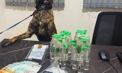 Atuação de Cão policial reforça operação com apreensão de arma e drogas