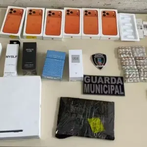 Carga contrabandeada do Paraguai com destino a Brusque é apreendida 