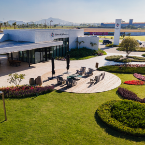 Dia da Mulher será celebrdo com feirinha, música ao vivo e gastronomia em bairro-cidade