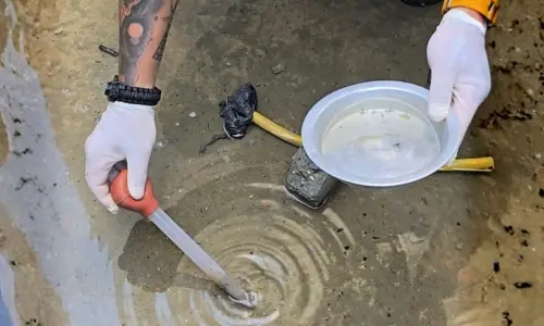 Vistoria epidemiológica é realizada após relatos de aumento de pernilongos em bairro