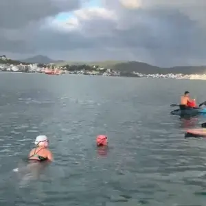 Desafio de 200 km de natação em águas abertas percorre litoral catarinense