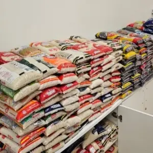 Solidariedade em forma de ingresso: show arrecada 565 kg em alimentos para crianças vulneráveis