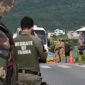 Fiscalização contra maus-tratos aos animais é intensificada com operação integrada