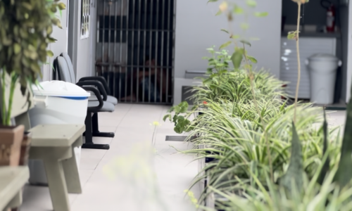 Ex-companheiro descumpre de medida protetiva e ameaça mulher e filhos