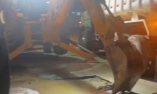 Adutora rompe em Vila Nova e deixa moradores com baixa pressão de água em Porto Belo