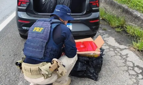 113 quilos de maconha foram encontrados em veículo na BR-101; condutor e passageiro foram detidos