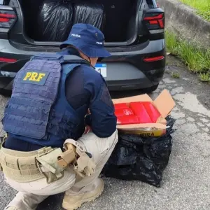 113 quilos de maconha foram encontrados em veículo na BR-101; condutor e passageiro foram detidos