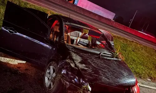 Condutor foge da polícia, capota e é preso com mandados em aberto na BR-101