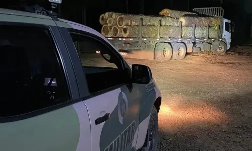 Dupla é detida após tentativa de furto de fios de cobre em madeireira e apreensão de maconha
