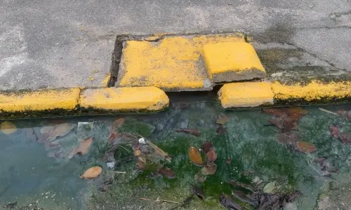 ACOMPANHE ▶️ | Morador reclama de esgoto transbordando em frente à residência em Tijucas