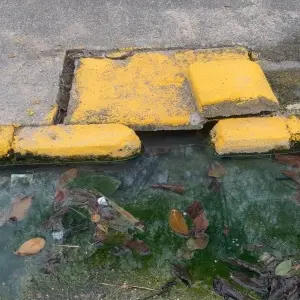 ACOMPANHE ▶️ | Morador reclama de esgoto transbordando em frente à residência em Tijucas