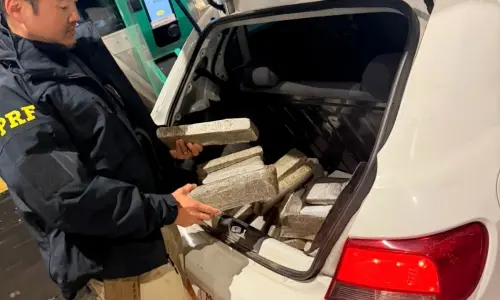 Fiscalização na BR-101 detecta forte odor e termina com 50 kg de maconha apreendidos e dois presos