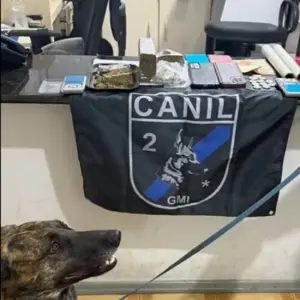 ▶️ VÍDEO | Imagens mostram apreensão de drogas fracionadas e dinheiro durante ação policial em Porto Belo