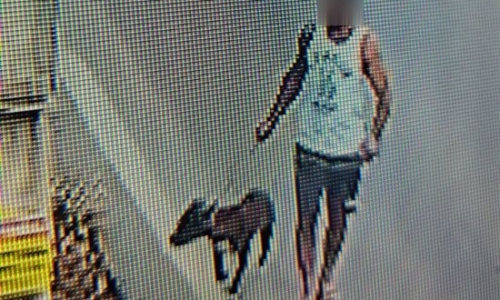 Homem é flagrado abandonando cachorro no bairro Pernambuco, em Tijucas