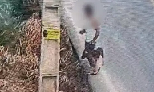 ASSISTA ▶️ | Casos de abandono de animais acendem alerta em Tijucas