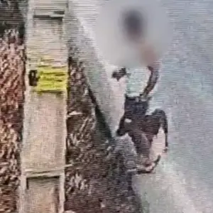 ASSISTA ▶️ | Casos de abandono de animais acendem alerta em Tijucas
