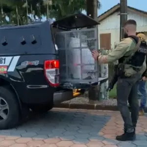 Operação desmonta quadrilha de golpes na compra de veículos em SC; Delegacia de Brusque participou da ação