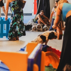 Feira de adoção de animais e oficinas de ecobag são atrações de evento gratuito