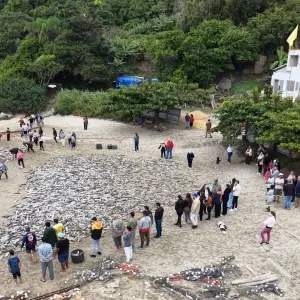 Safra da tainha movimenta praias de Bombinhas e Costa Esmeralda