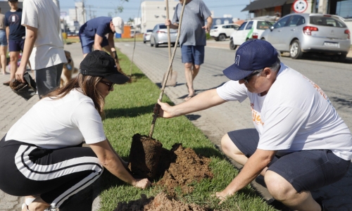 Tijucas recebe 170 novas árvores em mutirão de arborização na Avenida Hercílio Luz