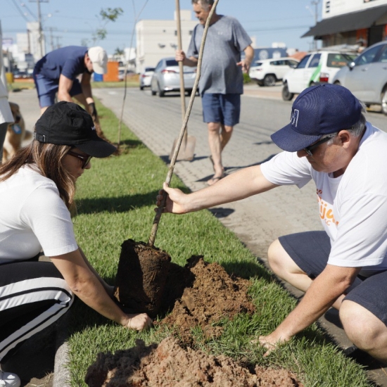 Tijucas recebe 170 novas árvores em mutirão de arborização na Avenida Hercílio Luz