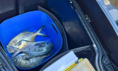 Crime ambiental na Reserva do Arvoredo é registrado; homem é preso por pesca ilegal