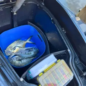 Crime ambiental na Reserva do Arvoredo é registrado; homem é preso por pesca ilegal