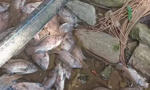 Moradores denunciam descarte irregular de peixes e gera alerta sobre qualidade da água