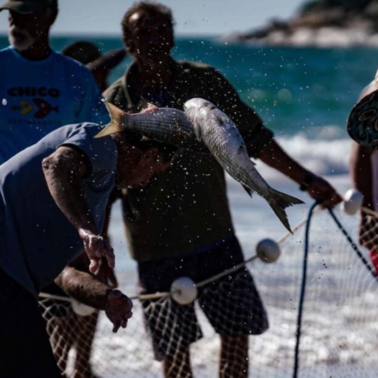 Governo amplia em 430 toneladas cota de pesca da tainha em Santa Catarina
