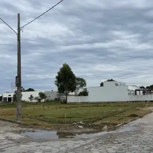 VEJA ▶️ | Após mobilização popular, novo terreno será buscado para construção de canil em Tijucas