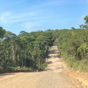 Justiça Federal suspende licenciamento ambiental de estrada que ligaria Porto Belo a Bombinhas