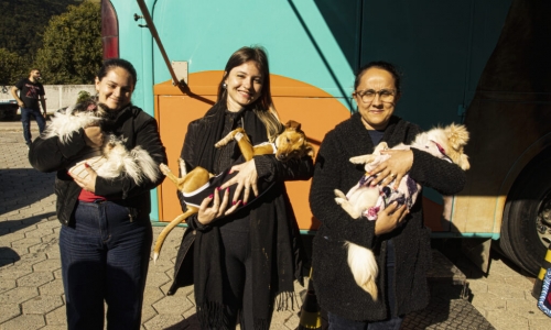 Mutirão de castração realiza 238 cirurgias e bate recorde anual de esterilizações