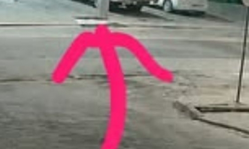 Turista argentino tem cerca de US$ 5 mil furtados de caminhonete
