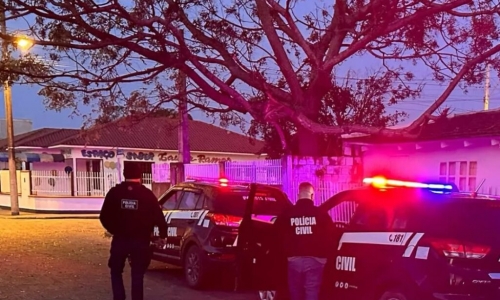 Quadrilha suspeita de furtos em série é alvo de operação policial na região