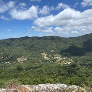 Trilha guiada abre as portas do Refúgio da Vida Silvestre de Itapema neste domingo