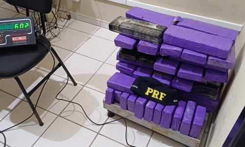 Carga de 60 quilos de maconha com destino a BC é descoberta em carro abordado na BR-101
