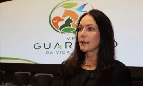 VÍDEO ▶️ | MPSC lança programa para fortalecer políticas públicas de proteção animal