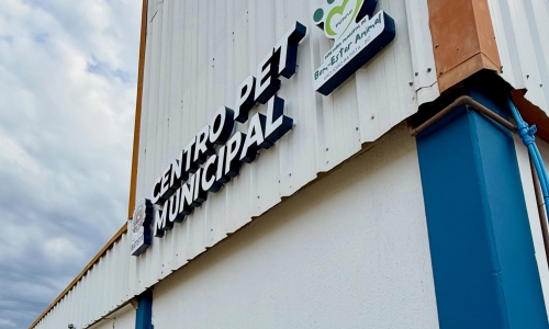 Novo Centro Pet oferece castração e microchipagem gratuitas em São João Batista