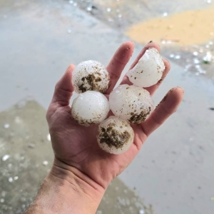 Temporal com pedras de gelo com até 4 centímetros gera 11 ocorrências em Brusque