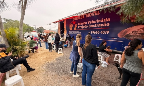 Mutirão de castração atende 200 animais na quarta-feira e ultrapassa 559 procedimentos em 2026