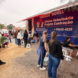 Mutirão de castração atende 200 animais na quarta-feira e ultrapassa 559 procedimentos em 2026 